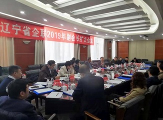 辽宁企联召开副会长扩大会议